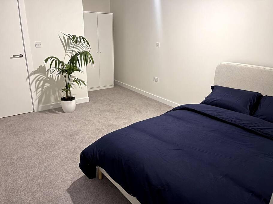 Beautiful One-bed In White City! Londra